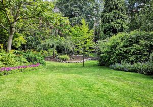 Optimiser l'expérience du jardin à Bourg